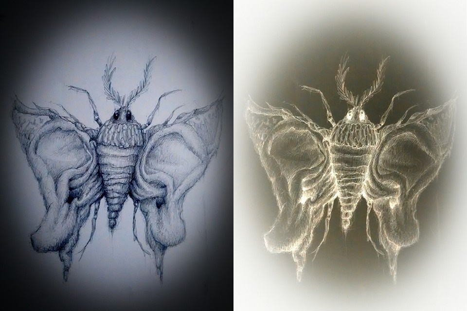 LIngua Franca double